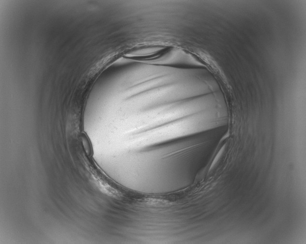 X0000080740393200701051150