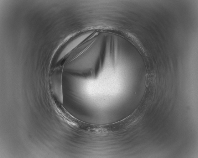 X0000080740395200701051150