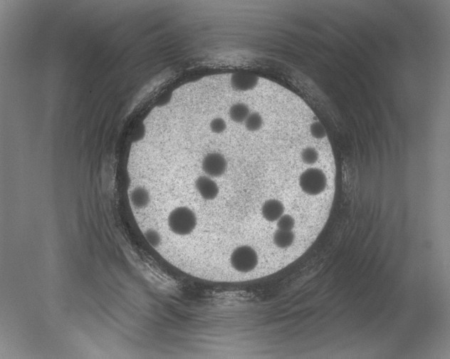 X0000080740396200701051150