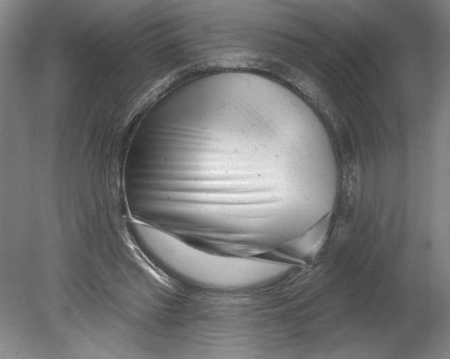 X0000080740397200701051150