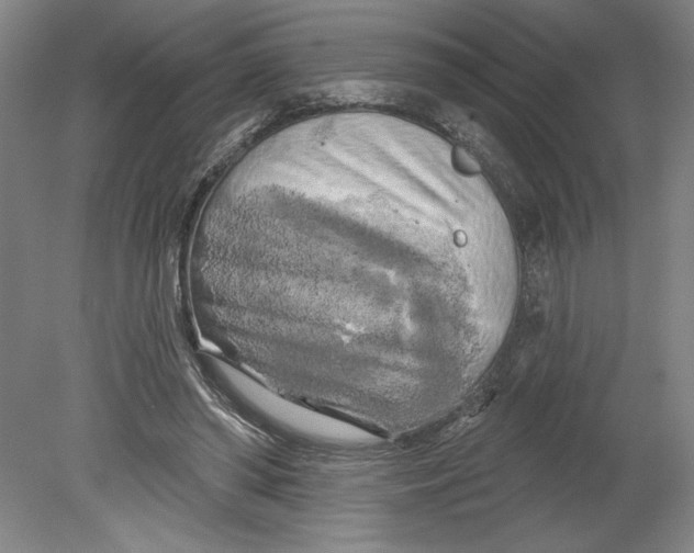 X0000080740398200701051150