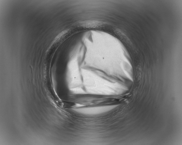 X0000080740400200701051150