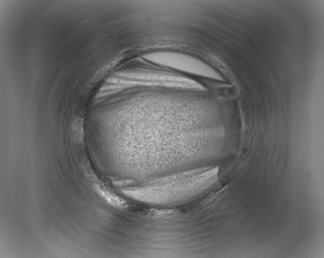 X0000080740401200701051150