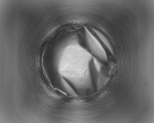 X0000080740403200701051150