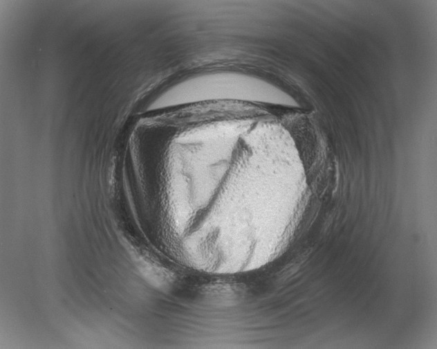 X0000080740404200701051150