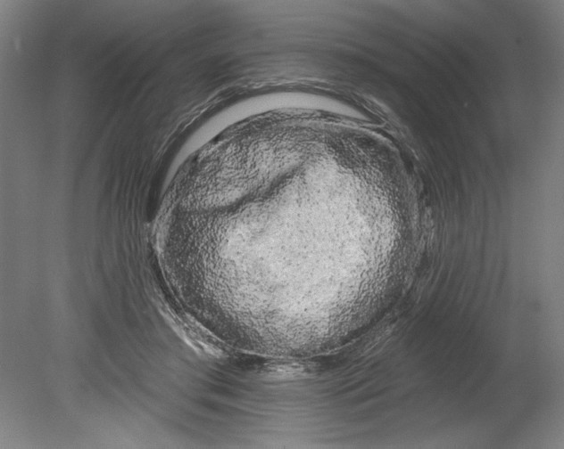 X0000080740405200701051150