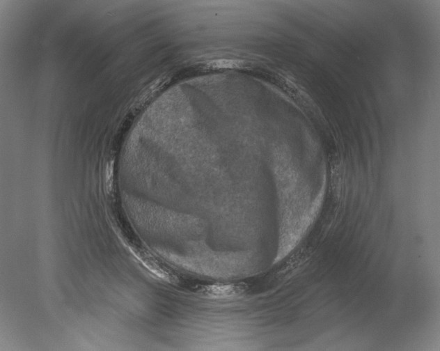 X0000080740406200701051150