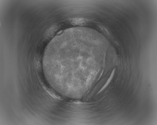 X0000080740408200701051150