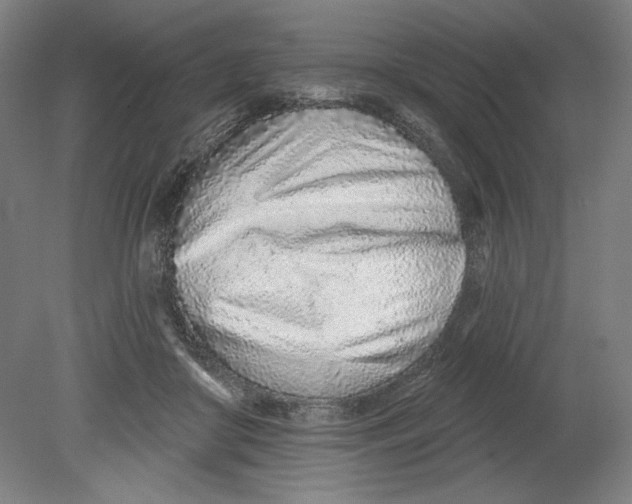 X0000080740410200701051150