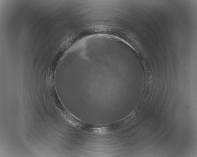 X0000080740411200701051150