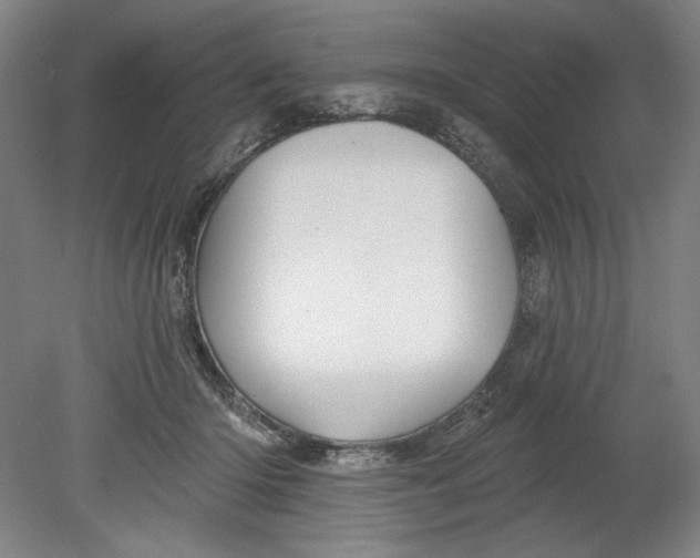 X0000080740414200701051150