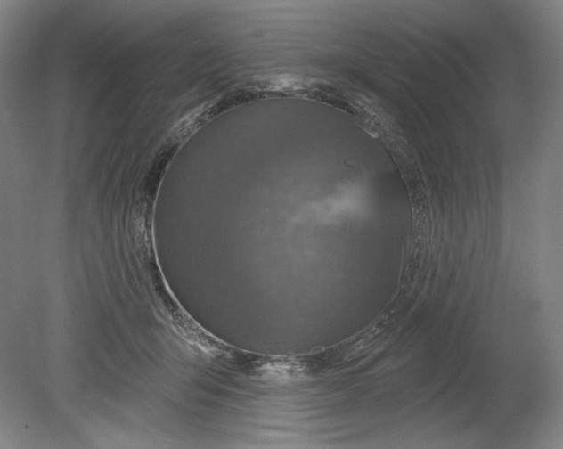 X0000080740415200701051150