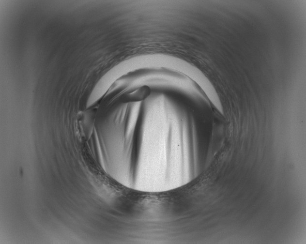 X0000080740416200701051149