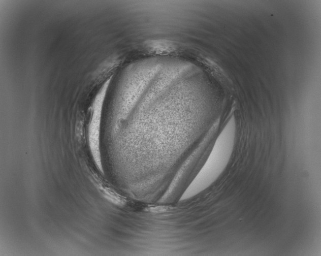 X0000080740417200701051149