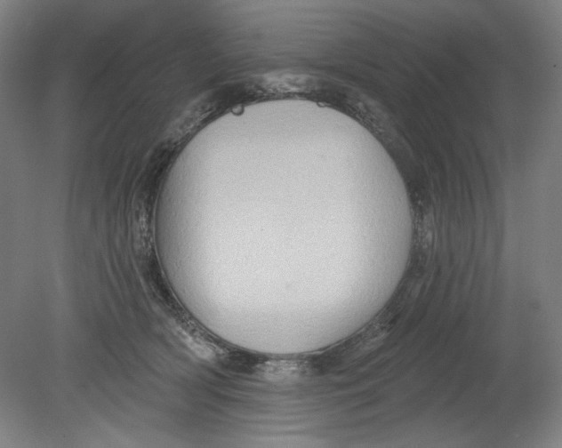 X0000080740418200701051149