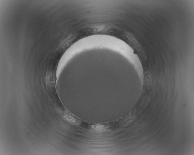 X0000080740419200701051149