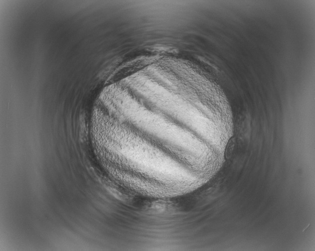 X0000080740420200701051149