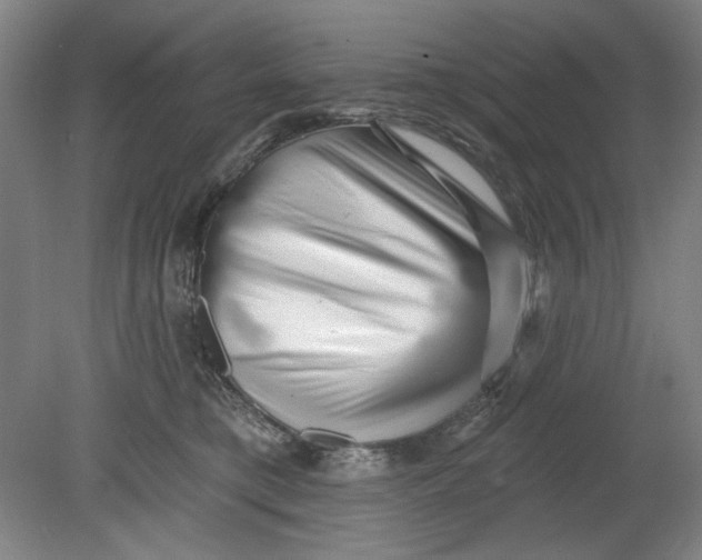 X0000080740421200701051149