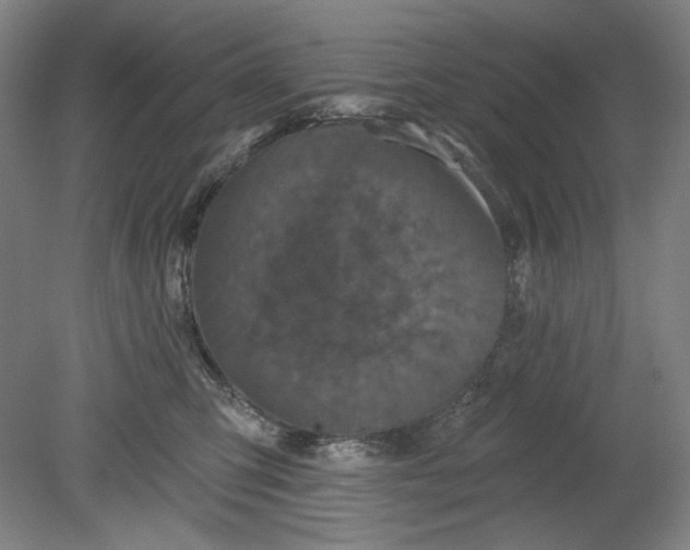 X0000080740423200701051149