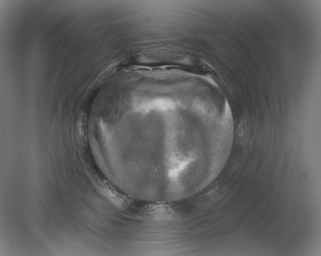 X0000080740424200701051149