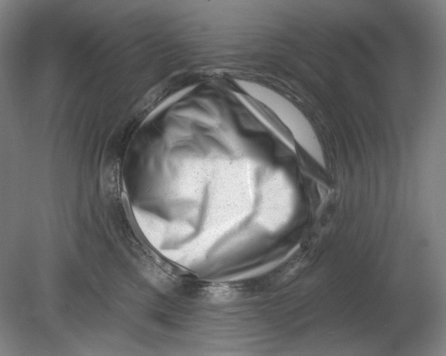 X0000080740425200701051149