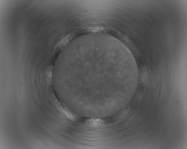 X0000080740427200701051149