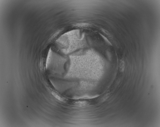 X0000080740428200701051149