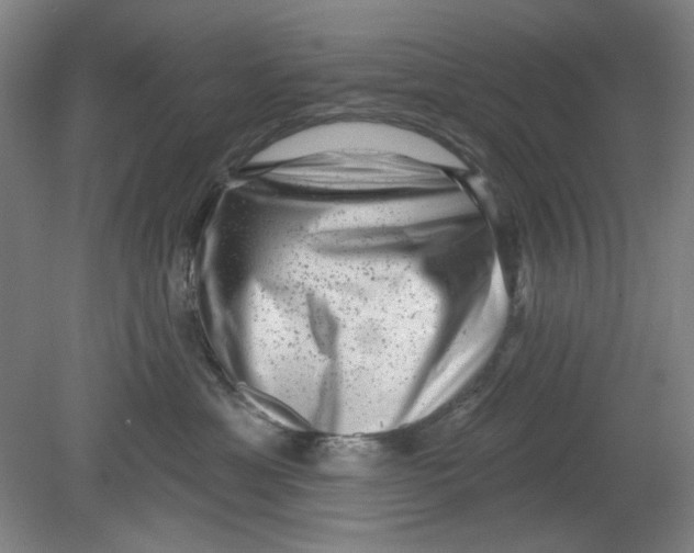 X0000080740429200701051149