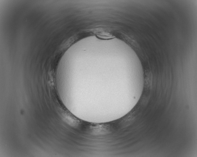 X0000080740430200701051149