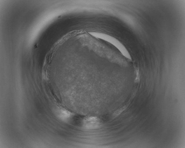 X0000080740431200701051149