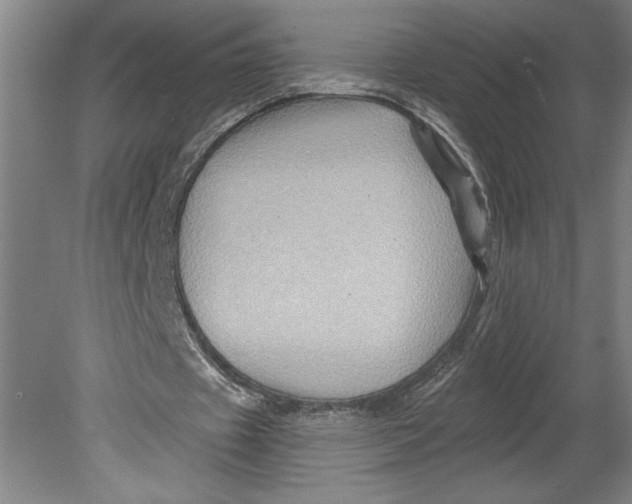 X0000080740433200701051148