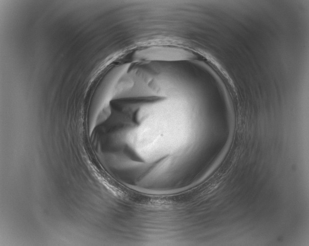 X0000080740437200701051148