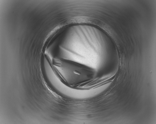 X0000080740438200701051148