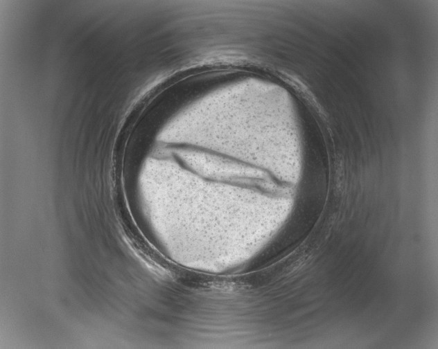 X0000080740439200701051149