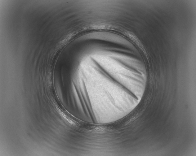 X0000080740441200701051149