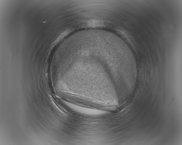 X0000080740443200701051149