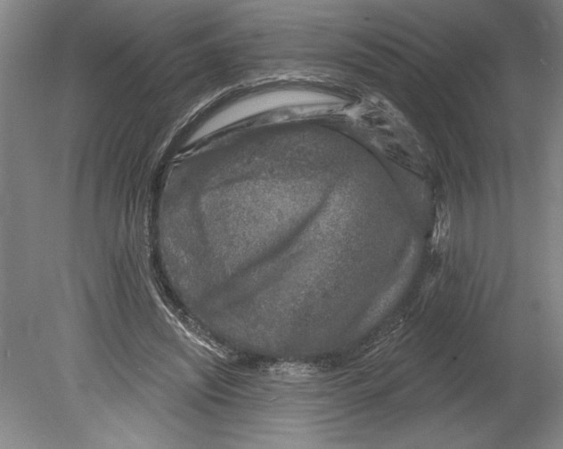 X0000080740444200701051149