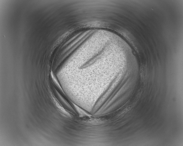 X0000080740445200701051149