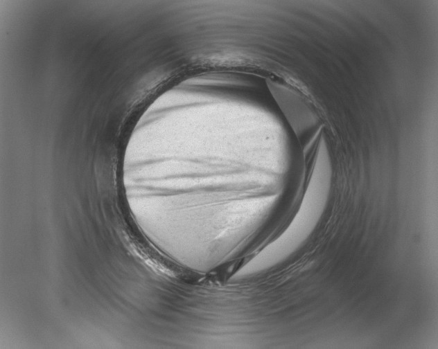 X0000080740446200701051149