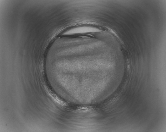 X0000080740447200701051149