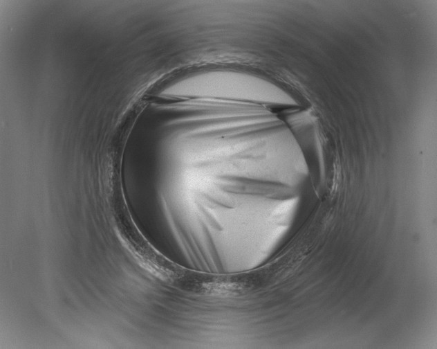 X0000080740448200701051149