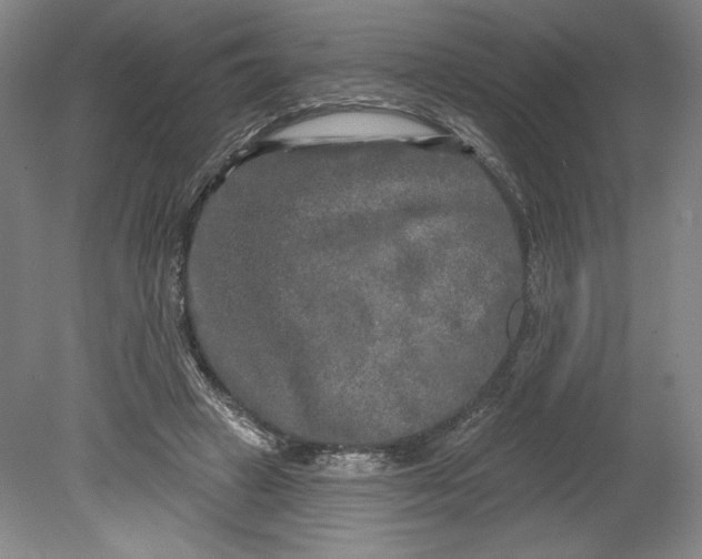 X0000080740449200701051149