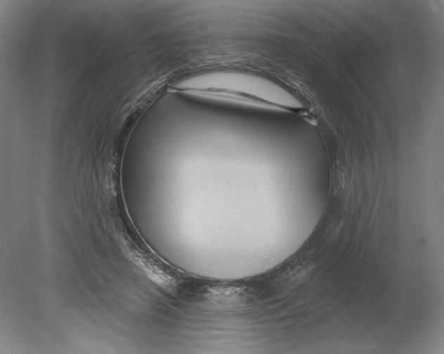 X0000080740450200701051149