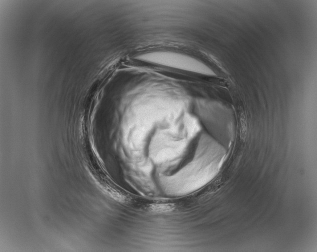 X0000080740451200701051149