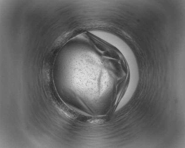 X0000080740452200701051149