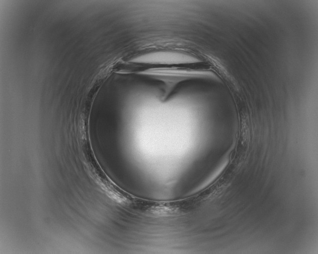 X0000080740453200701051149