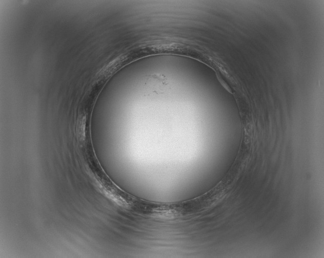 X0000080740454200701051149