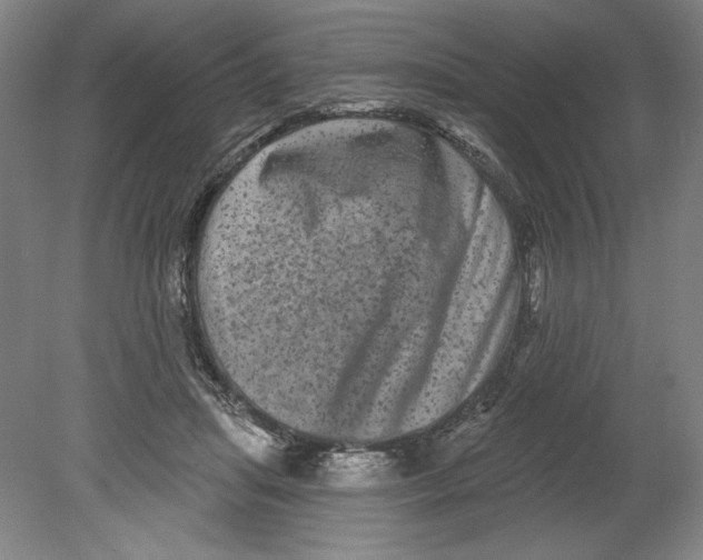 X0000080740455200701051149