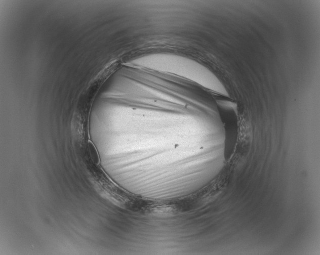 X0000080740456200701051149