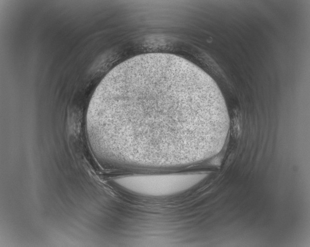 X0000080740458200701051149